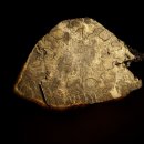 고사리곡 이미지