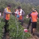 한국전력공사 거창지사 이미지