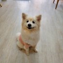 개네집곳간 이미지