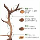 이규선경희한의원 이미지