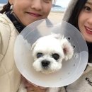 스토리나라 Daum카페