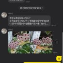 정진OA | 요즘 일상 1 (feat.건축사시험,바선생)