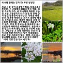 강가의 추억 이미지