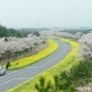 한림프라자 이미지