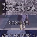 뷰맵중동스토어 이미지