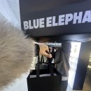 안국안경 | 블루엘리펀트 안국점 ‘이지 레오파드(EAZY leopard)’ 구매&amp;착용 솔직 후기