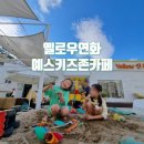 옐로우연화 이미지