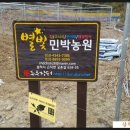별빛민박농원 이미지