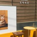 토라네코 이미지