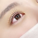 신당 속눈썹펌 잘하는 곳 하라뷰티샵 왕십리점 듀얼펌 사방트임펌 리얼 후기