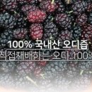 봉재농장 이미지
