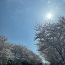 인피니티 플라잉 | [경남 봄여행 추천숙소] 거제 생각속의 집 (글램핑, 풀빌라, 오션뷰, 자쿠지를 한곳에서 즐길 수 있는 곳!)