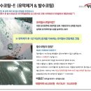 동안구출장세차