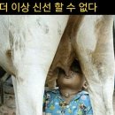 신선 당구장 네이버블로그