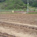 봉성농장 이미지