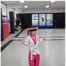 태성태권도 이미지