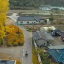 도리1천 이미지