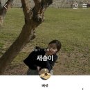 새솜 | 봄 (feat.백곰)