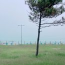무풍자치센터목욕탕 | 제주도 백패킹 여행2 - 김녕용암해수사우나, 붉은오름휴양림