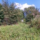 연정(신녕) 이미지