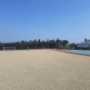 풍천초등학교 이미지