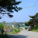 장고항1리마을회관 이미지