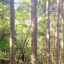 또하르네 이미지