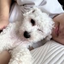 (주)르우엘 이미지