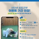 킨더퍼피 이미지