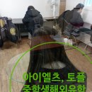 메이린어학원