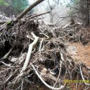 불당삼거리1 이미지