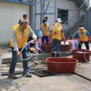 한울세탁 이미지