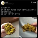 맘스터치복대점 | 2025,(46)