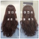 [오티움 에이전시] 부천역 미용실 히피펌 후기 (+유리 디자이너)