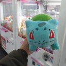 뽑아가즈아 이미지