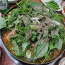 제주본토박이 이미지