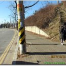 원정초등학교 이미지