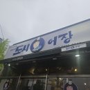 이선생도시어장