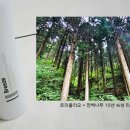 브리즈화장품