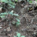 현동농장 이미지