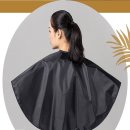 승진이네 이미지