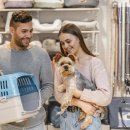 유지네 애견미용샵 이미지