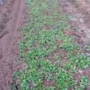 삼동초등학교 이미지