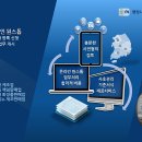 행정사도움사무소 이미지