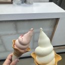 캉골LF스퀘어양주점 | 백미당 아이스크림 1+1 | 모르고 갔다가 먹고 온 후기 | 백미당 LF스퀘어 양주점 | 내돈내산 찐후기