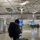 서도민박 | 카타르 도하 공항 경유 체코행 비행기 ✈️ | '꽃보다 프라하' 한인 민박 후기📣 | 프라하-즐린 가는 법, 비용