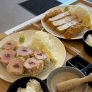 카츠올로지
