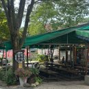 포레스트 월악 이미지