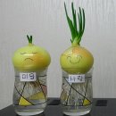 다지음 - 수성구 | 다지음