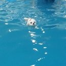 커멍커멍 이미지